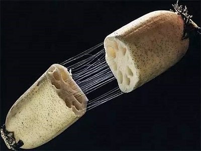 ܡźzBl ƌWƳͷgp
