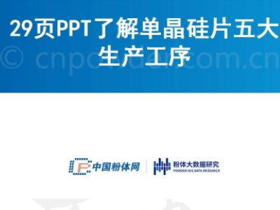 29PPT˽ξƬa