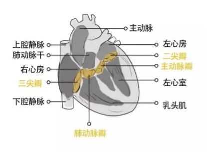 165725_102509_jswz.jpg 微信圖片_20240111165535.jpg
