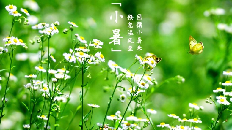 倏忽溫風至，因循小暑來-二十四節氣 小暑.jpg