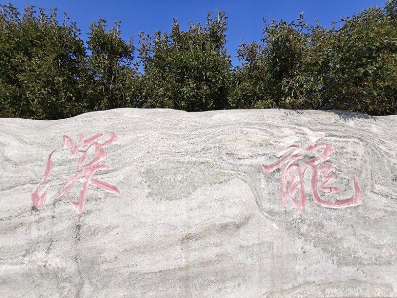 河北深龍醫藥有限公司.jpg